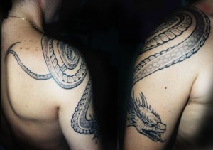 Tatuajes dragones, panteras, lobo etc.. 